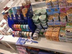 -70cat德文卷毛猫·缅因猫纯种猫舍