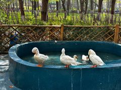 -北京野生动物园