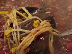 -黄潇洒老火锅(九眼桥宏济巷店)
