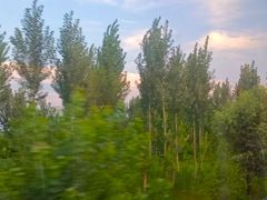 -沙县小吃文化城