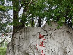 -金鸡湖桃花岛