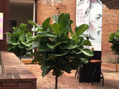 -大酉·M Coffee(北京美术馆店)