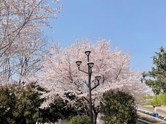 -石湖景区