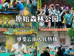 -西双版纳原始森林公园
