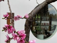-心宿迟留餐厅