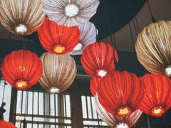 -树厨地道黔菜(凯里韶山南路店)