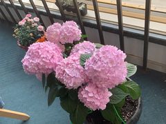 -爱乐蒙艺术·古筝 钢琴 声乐(科华校区)