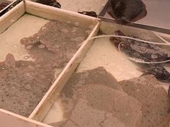 -毕家疃综合市场