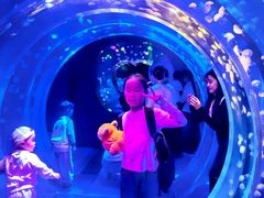 -海合安成都极地海洋公园