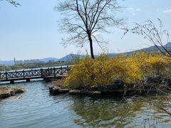 -济南国际园博园