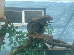 -青藏高原野生动物园