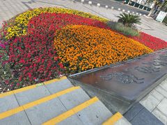 -南通濠河风景名胜区