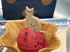 -CORNER CONE GELATO酷矿手作霜淇淋(南头古城店)