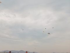 -光明小镇欢乐田园