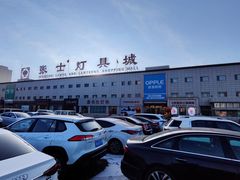 -张士灯具城(家居优选店)
