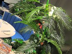 -兰湘子·湘菜小炒(南京江宁万达店)