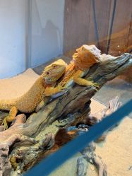 -Zoolung Zoolung动物主题公园(海信广场店)