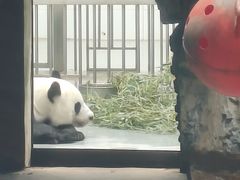 -石家庄市动物园