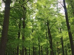 -艾溪湖湿地公园