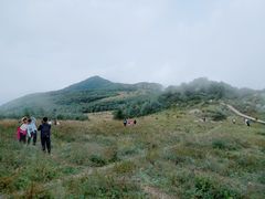 -白草畔自然风景区