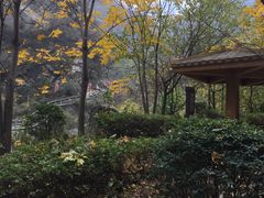 -少华山国家森林公园