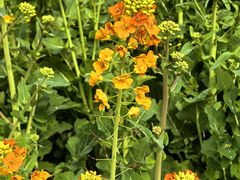 -中国天府农业博览园