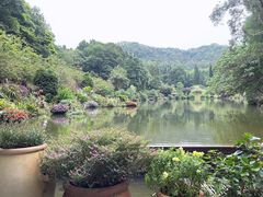 -深圳仙湖植物园