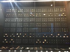 -北京周口店北京人遗址博物馆