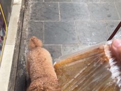 -祖传苏油糕
