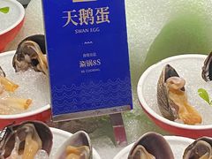-海鼎荟海鲜姿造(晋江宝龙店)
