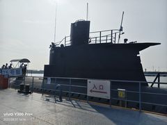 -泰达航母主题公园