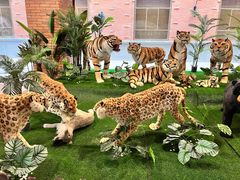 -南宫五洲植物乐园