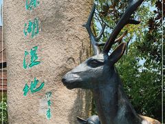 -溱湖国家湿地公园