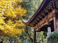 -汇龙潭