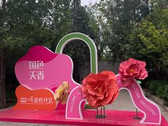 -太阳宫公园