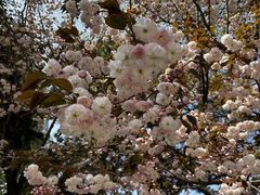 -石岛赤山风景区