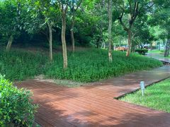 -三亚海棠湾万丽度假酒店