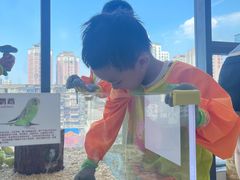 -怪兽屋·羊驼·猫咖·狗咖(俊华广场店)