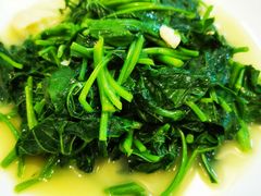 -山菜馆(竹海公园店)