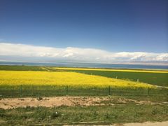 -青海湖国家重点风景名胜区