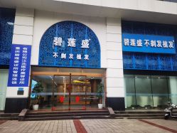 -碧莲盛·不剃发植发