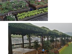-冰冰龙虾·江湖菜·花园江景餐厅