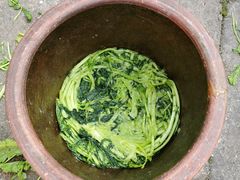 -鄞州雪菜博物馆