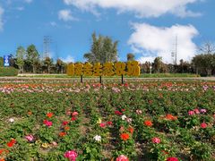 -迪茵湖田家舍生态农场
