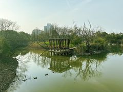 -上海吴淞炮台湾国家湿地公园