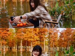 -白鹭湾湿地公园