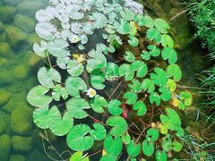 -河北省第三届（邢台园博园）园林博览会