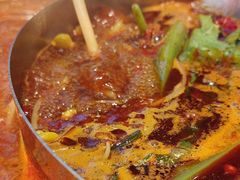 -由衷贵州酸汤牛肉火锅(新桥店)