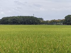 -嘉北郊野公园
