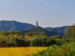 -北坞公园